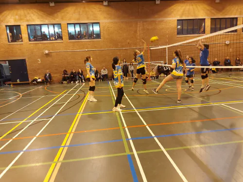 Frodsham Volleyball Tournament photo 47